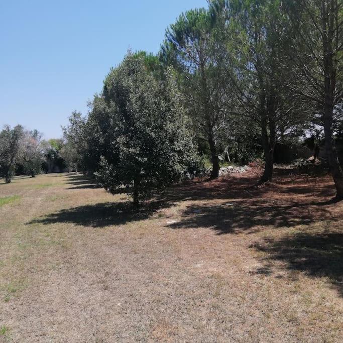Villa Del Glicine Muro Leccese Dış mekan fotoğraf